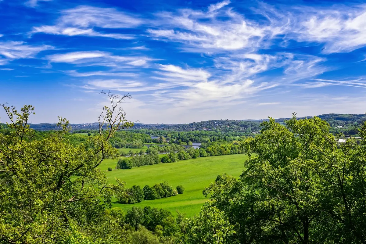 The Complete Day Out Birdwatching Checklist for UK Weather
